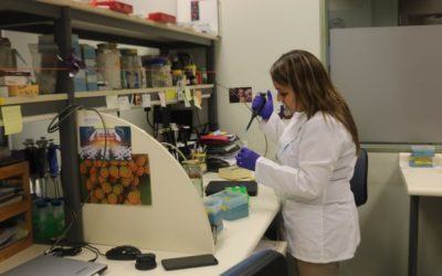 Investigación de Dra Rebolledo, investigadora de CEBIMA, destacada en TVN Austral