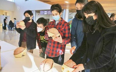 CEBIMA participa en feria científica dirigida a estudiantes de enseñanza media organizada por CADI-UMAG