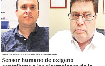 La Prensa Austral destaca revisión publicada por investigadores del CEBIMA «Sensor humano de oxígeno contribuye a las alteraciones de la apnea obstructiva del sueño»